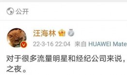 娱乐圈爆料开头,揭秘明星背后的惊人真相！